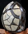 Septarian Dragon Egg Geode - Black Calcite Crystals #34701-2